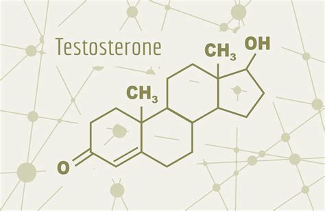 The Power Within: Revealing the Magical Formula for Optimal Testosterone